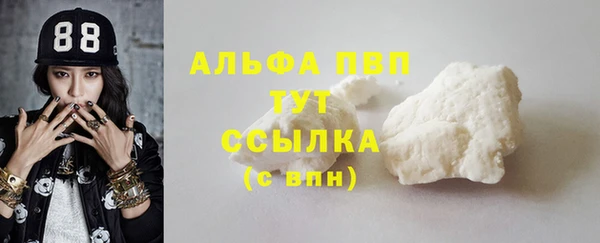 гашик Липки