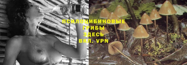 твердый Лиски