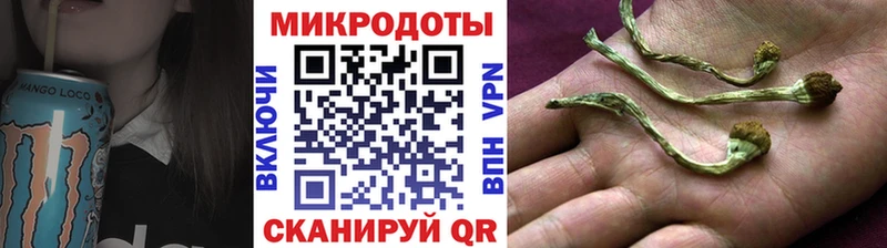 Галлюциногенные грибы Psilocybe  Купить закладки  Шатура 